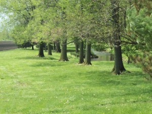 spring walk on hagan 006